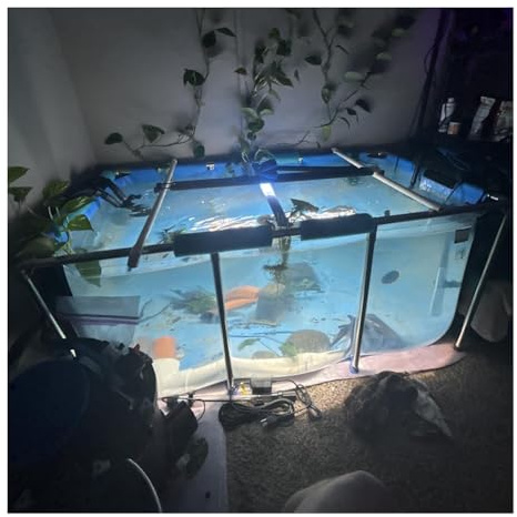 Rygcrud Aquarium Pool Pond - PVC Canvas Liners with Steel Frame, Preformed Above Ground Koi Pond with Transparent Window, Large Capacity Breeding Tank(50x40x30cm)