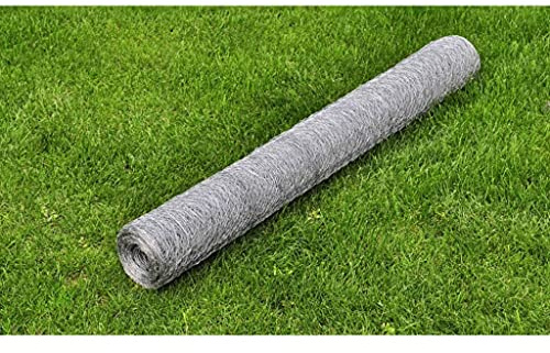Malla de alambre de acero galvanizado, 25 x 0,5 m, plateado, grosor de alambre de 0,5 mm, ancho de malla de 25 mm, malla de alambre resistente para vallas, aviarios, jardín, protección de plantas