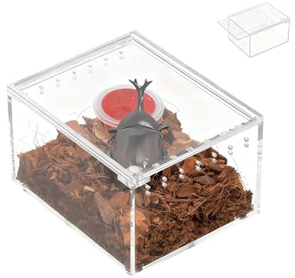 Spindelterrarium - transparent behållare för geckouppfödning | akvarium akryl för spindlar - för observation av utfodring och reproduktion av reptiler ormar sköldpaddor geckos grodor
