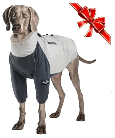 Chaqueta de Invierno para Perro Grande y Mediano - Abrigo Impermeable a Prueba de Viento - Chaleco Deportivo Cálido - Traje de Esquí para Caminar, Senderismo y Viajes, XXL