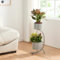 [en.casa] Stand Portapiante con Custodie per Vaso Piedistallo a Forma di C per 2 Piante Supporto Espositore Piante Fiori Portavasi Cilindrici in Metallo 63 x 29 x 21 cm Grigio Scuro