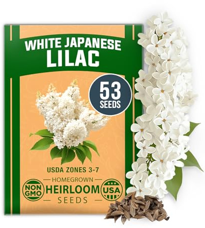 HOME GROWN 53 White Lilac Flower Seeds Non-GMO, Heirloom Tree Seeds for Planting, Fragrant Flowering Tree Seeds for Landscaping, Pollinator Gardens, and Ornamental Borders (Syringa reticulata)