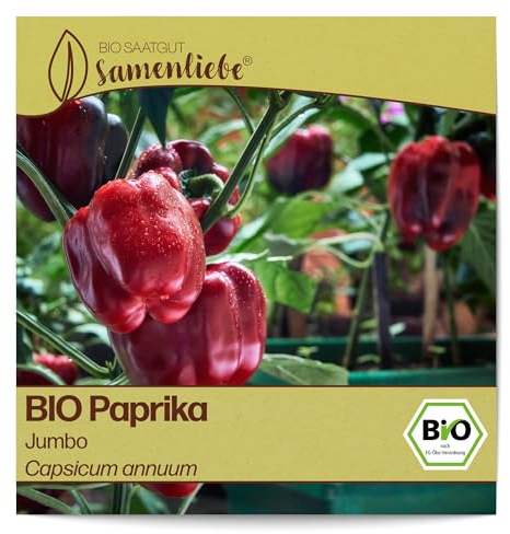 Samenliebe BIO Paprika Samen Gemüsesamen Jumbo 10 Samen Gemüse Samen Garten Paprika Saatgut samenfeste einjährig Pflanzen für Gewächshaus, Garten und Balkon