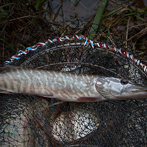 Bärbar Krabbfälla,Fisknät, Fiskfälla för Minnow, Hopfällbar Hummer Languster Räkfiskfälla, Burnät för Fiske, Fisketillbehör Svart