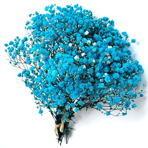 QZKJQDD Gypsophiles Séchées - Fleurs Séchées pour Bricolage, Décoration, Boîte Cadeau, Scrapbooking et Bougies Parfumées