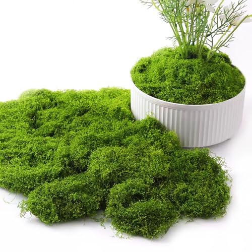 HXSYKJDM 200g Artificial Moss, Fake Moss, Fake Green Lichen Plants for Lawn Green Plant Aquarium Landscaping