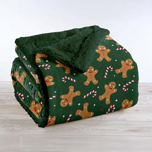 IlGruppone Coperta Plaid in Pile Sherpa Invernale, Morbida e Calda, Coperta Pelosa Copri Letto o Divano in Finta Pelliccia Singola Matrimoniale Doppio Lato - GingerVerde - Due piazze 200x230