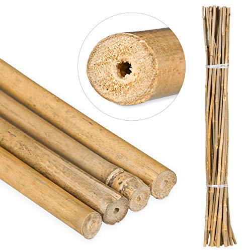 Relaxdays Canne di Bambù 105 cm, in Bambù Naturale, Sostegno per Piante Rampicanti, Bricolage, Legno Naturale