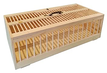 AGROHIT Transportkorb Transportkiste für Tauben 80x40cm mit Sprossen