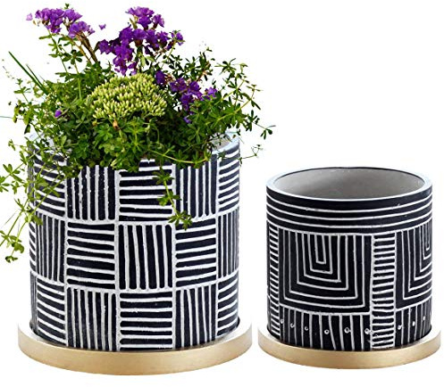 Olly & Rose Designer Black Plant Pots Set 2 with Gold Saucers Ceramic Flower Pot Planters Indoor and Outdoor (Black)