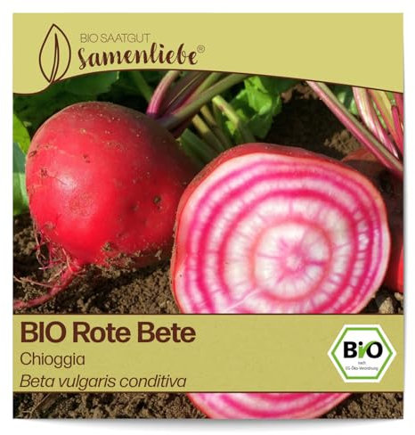 Samenliebe BIO Rote Bete Samen alte Sorte Chioggia süße feine italienische Beete runde Rüben rot weiß 200 Samen samenfestes Gemüse Saatgut für Gewächshaus Freiland und Balkon BIO Gemüsesamen