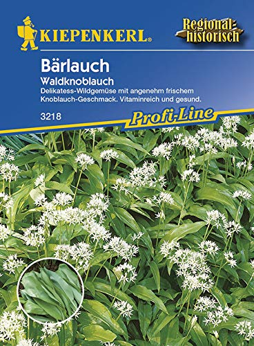 Kiepenkerl 3218 Bärlauch Waldknoblauch (Bärlauchsamen)