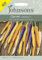 Mr Fothergill’s Seeds Ltd 35169 Carrot Harlequin F1, Mixed