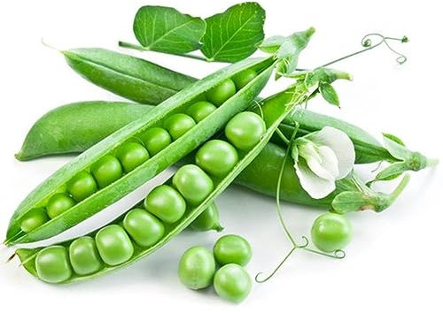 PERZOE 300 Stück Zuckerschoten, Erbsensamen, köstliche Gemüse-Hausgarten-Hinterhof-Dachpflanze Erbsensamen