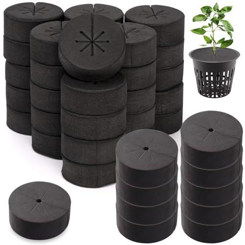 SHITOOMFE Éponges hydroponiques, Colliers de clonage de 40 pcs, Colliers Clones EVA Hydroponic Sponges, 8 Rayons Bricolage d'insert Mousse Mousse ajusté des Pots Filet 2 Pouces, hydroponique, aé