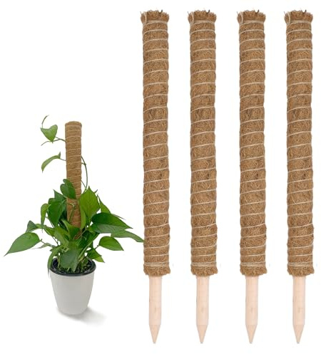 Kokos spaljé 60 cm natur – 4 stycken – växtstav för inomhusväxter – blommor, växtstång, kruka, klättringshjälp, kokosstång för klätterväxter