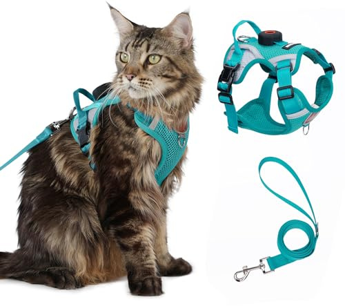 Cat Harness and Leash Set With AirTag Holder, Escape Proof Adjustable Kitten Vest with Lead for Large Cat Small Dog Puppy Walking, Soft Breathable Mesh Jacket with Reflective Strips L, Teal Blue