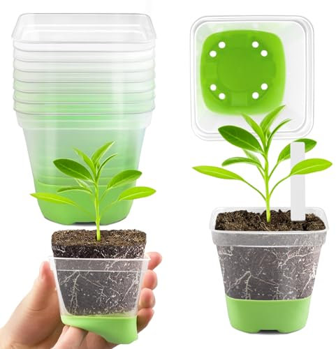 DOUUCO 24 Stück 8cm Anzuchttöpfe Pflanztöpfe anzucht Transparent mit Silikonsockel, Blumentöpfe Kunststoff Vierkant Mini Töpfe, Wiederverwendbar Anzuchtkasten für Sämlinge Sukkulenten Grün