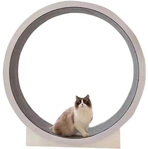 Rueda de ejercicio para gatos, caminadora interactiva para gatos de interior, rueda de corredor de gato de gran diámetro, divertido marco de escalada para mascotas y gatitos