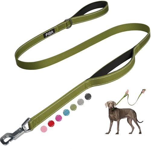 Fida 5 FT Heavy Duty Dog Leash with 2 Comfortable Padded Handles, Traffic Handle & Advanced Easy Snap Hook, Reflective Walking Lead for Large, Medium & Small Breed Dogs, Green