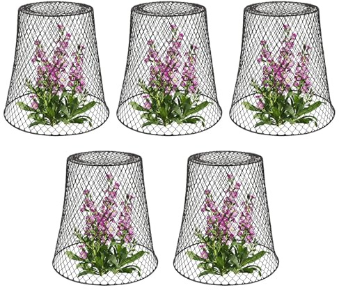 Växtskydd i metall - ekorrbarriär | Blombur | 5 stycken Anulan utomhusbarriärer med öppen design för luftflöde för blåbär, blommor, grönsaksgrytor, växer