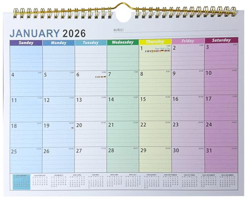 VIDSTW Calendrier 2026 2027 30 x 22 CM Calendrier Familial 2026 2027 Carton Épais Planning Familial Motif Couleur 7 jours pour Maison Bureau l'école l'hôtel (Utilisable Janvier 2026 à Juillet 2027)