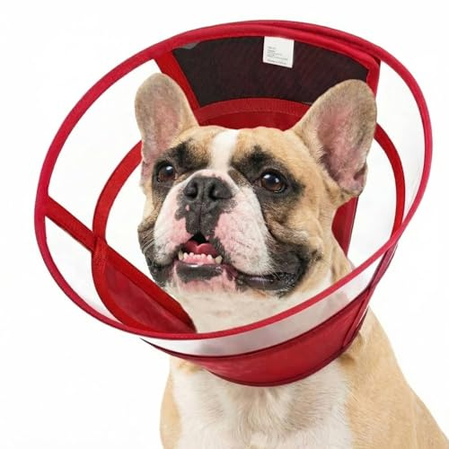 Hundhalsband enligt OP, justerbar skyddskrage hund med dragsko, transparent läckageskydd hundar, anti-läckkrage, vikbar hundkrage, vinröd M