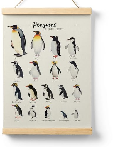 Ryeolo Penguin Species Wall Art With Wooden Poster Hanger, Penguin Educational Chart Poster Decorations for Nursery Toddler Bedroom Classroom Playroom, 12.5x17 Inches