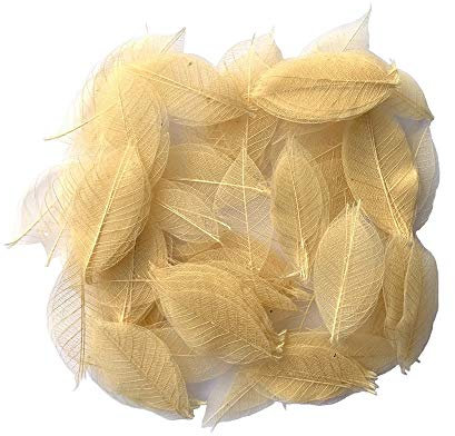 RATREE 888 200 Stück kleine 5-8,9 cm natürliche Skelettblätter Gummibaum Scrapbooking Basteln DIY Karte Hochzeit Blumensträuße saisonales Geschenk