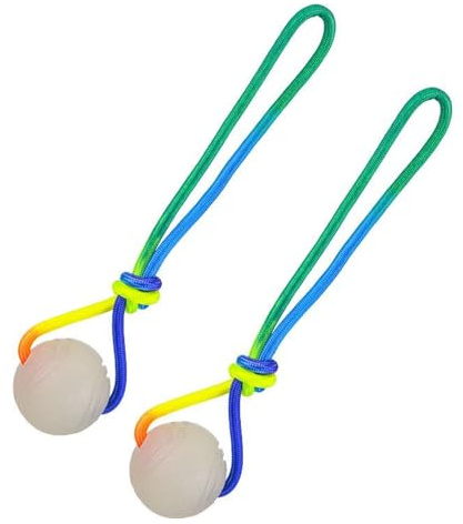 FmtwPhn Pallina per cani | 2 pezzi luminosi giocattoli per la cura dei denti – con corda palla da gioco per cani di piccola taglia media e grande razza cuccioli per interni, stimolazione mentale