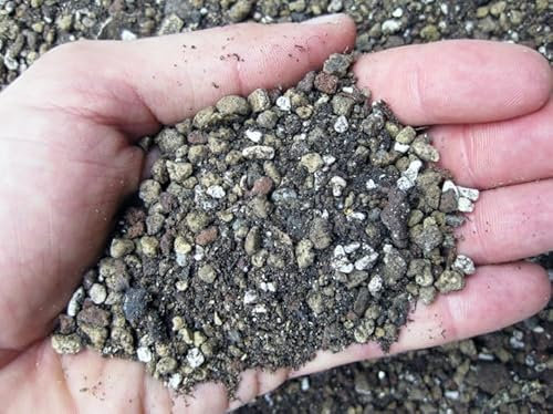 Terreau, substrat professionnel pour plantes succulentes (cactus - succulentes) (Top Cactus - Geosism) (1 lt)