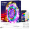Daymeet LED Strip 10M - USB RGBIC LED Streifen Farbwechsel LED ​Beleuchtung mit 5050 Bluetooth Musik Sync Fernbedienung APP Control für Party,Schlafzimmer,Küche,TV,PC