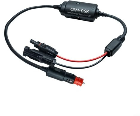 DAZZLEEX fotovoltaico solare del fotovoltaico della batteria al litio LeadAcid del microcontroller che carica riconoscimento automatico System12V/24V