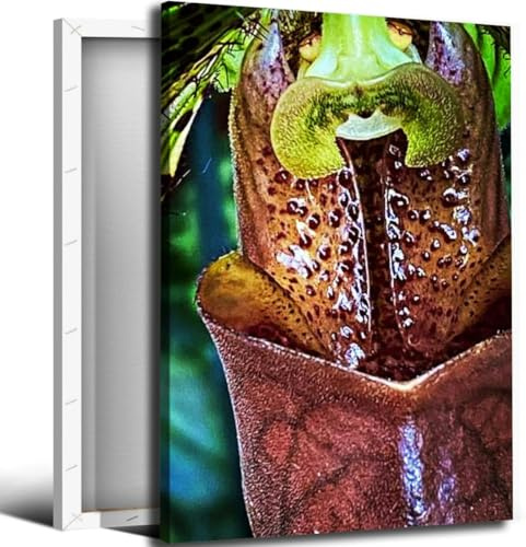 Tropical Pitcher Plant Bathroom Canvas Wall Art Decor Framed Photo Prints Picture for Bedroom Living Room Office Kitchen Posters Painting Artwork