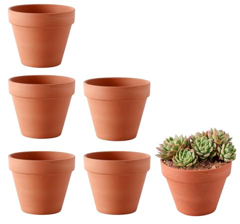 FDKene 6 Piezas Macetas de Terracota 12 x 10 cm, Mini Macetas de Barro con Agujero de Drenaje, Macetas Pequeñas para Suculentas, Cactus, Plantas, Semillas, Decoración, Interior y Exterior
