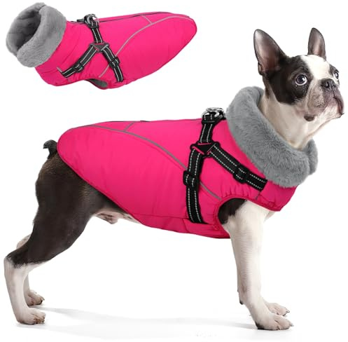 Queenmore Abrigo Perro Grande | Cálido Impermeable 3 Capas | Abrigo Invernal para Bulldog Francés/Cocker Spaniel/Galgo(Rosa, L)