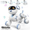NMM Roboter Spielzeug für Kinder, Programmierbarer Roboter Hund mit Berührungssensoren und Fernsteuerung, Tanz und Musikfunktionen,Roboter Hund Spielzeug ab 3, 4, 5, 6, 7, 8 Jahren
