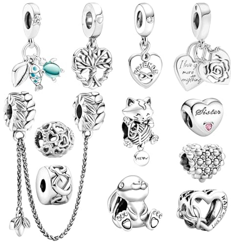 MLPKOI 12 Pcs Bracelet Charms, Spacer Beads Charms for Bracelet Making Polished Charms for Pandora Bracelet, Jewellery Gifts for Mom Girls Teen Family (silver)