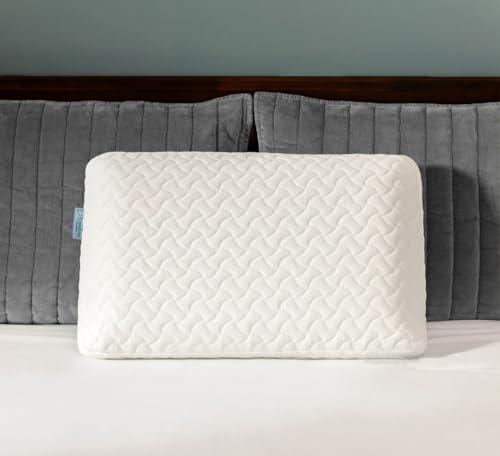 Ecosafeter Memory Foam Cervical Pillow, Ergonomic Contoured Design for Deep Sleep