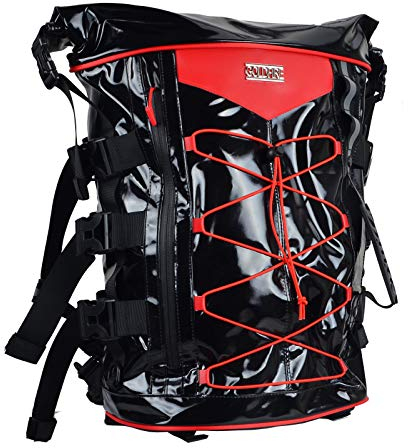 Goldfire Expandable Motorcycle Tail Bag Travel Luggage Sissy Bar Bag, Weather Resistant Tail Duffle Bag Motorcycle Gear Backpack with Sissy Bar Straps (Passion Red, Sport)