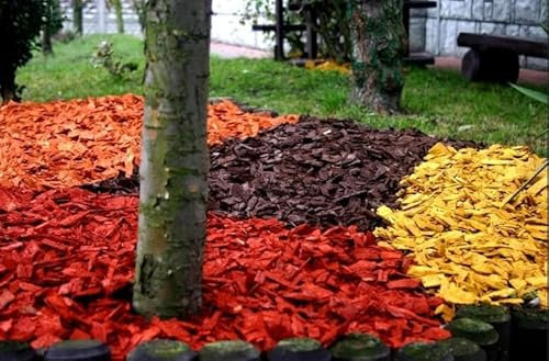 Trucioli di legno decorativi - corteccia colorata - corteccia da giardino - 20 kg (arancione)