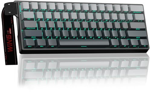 AULA WIN60 HE Mechanische Gaming Tastatur mit Kabel,Hall Effect Magnetic Switches,Rapid Trigger,Einstellbare Betätigung,8000HZ,Side-Print,60% RGB Tastatur für PC/Mac (Grauverlauf)