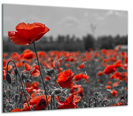 TMK Plaque de recouvrement, 60 x 52 cm, en verre, décorative, pour cuisinières électriques, à induction, anti-éclaboussures, planche à découper, rouge, fleur