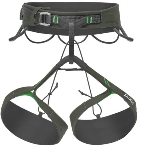 Salewa Agner Gurt Herren, Grün, L