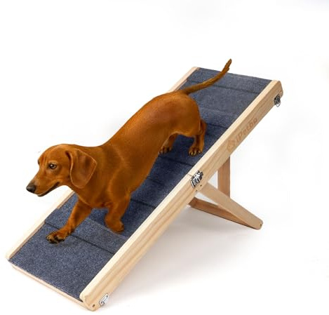 iPetba Rampa per Cane per Letto & Divano per Piccoli Cani – Rispetto per le Articolazioni, Antiscivolo, Pieghevole, Regolabile, Portatile, Fino a 16 kg