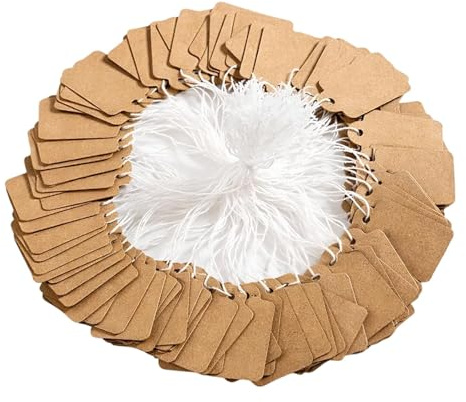 300PCS Mini Strung Price Tags - White String Pricemarker Labels, 30x48mm Tie on Paper Tags, Jewelry Marking Tags - Blank Gift Marking Labels with String for Jewelry Clothing Display