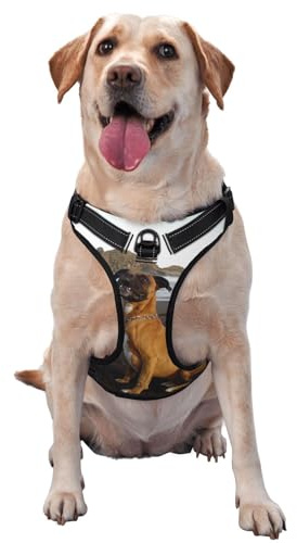 Portrait de Chien Boxer Brun de Plage,Harnais pour Animaux de Compagnie, Harnais réfléchissant réglable pour Chien,L