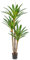 Oairse 5.6ft Artificial Yucca Tree Fake Large Agave Plant with 3 Detachable Agave Heads Tropical Floor Plants Faux Palm Trees for Home Office Corner Indoor Outdoor Decoration, 170cm