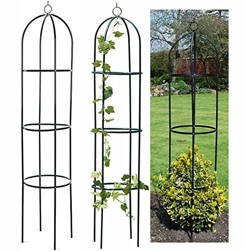 HTUK Arche de jardin obélisque en acier pour plantes grimpantes, fleurs, arbustes, légumes - Support décoratif élégant en métal - 1,9 m