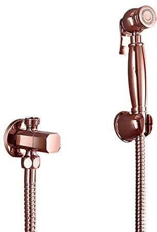 Ensemble pulvérisateur de bidet portatif pour toilettes - Fixation murale à eau froide - Amélioration de l'hygiène de la salle de bain - Doré brossé